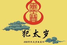 2025年蛇年不宜生子的属相有哪些 - 生肖录